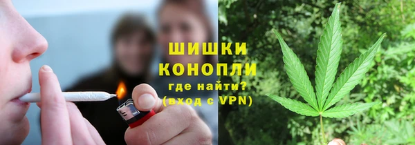 стаф Балахна