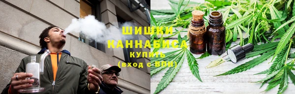 хмурый Белокуриха