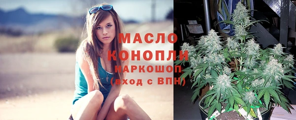 стаф Балахна