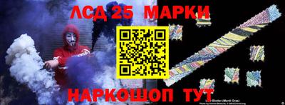 крисы Гатчина