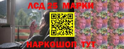 крисы Гатчина