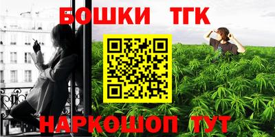 ешки Гагарин