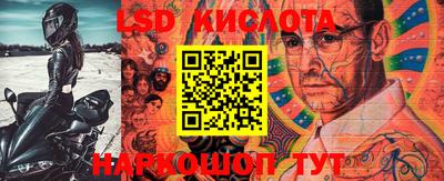 крисы Гатчина