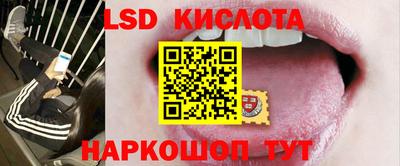 крисы Гатчина