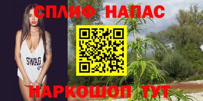 крисы Гатчина
