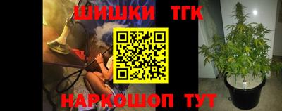 крисы Гатчина