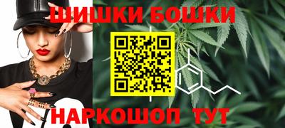 крисы Гатчина