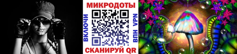 Псилоцибиновые грибы Cubensis Валуйки
