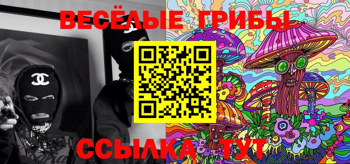 Валуйки  Псилоцибиновые грибы Psilocybe  Вход с VPN  Псилоцибиновые грибы прущие грибы 