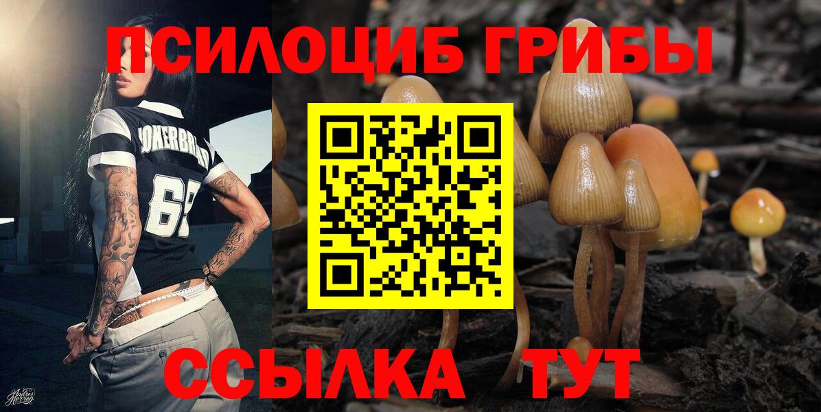 APVP Валуйки