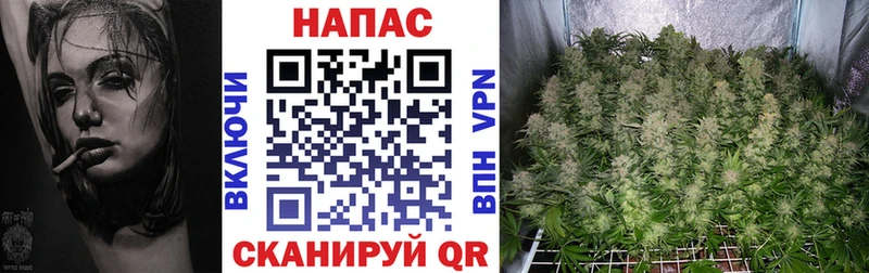 Канабис Ganja Валуйки